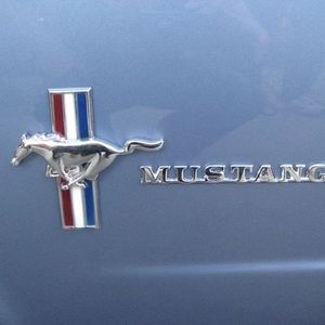 Meet your Posher, Peter